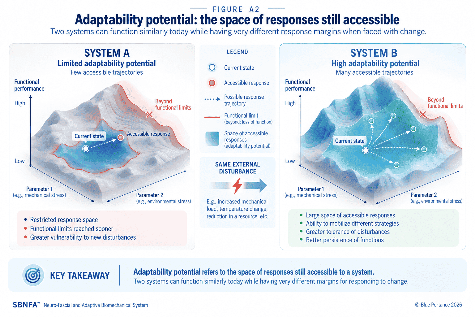 Adaptability potential: the space of responses still accessible