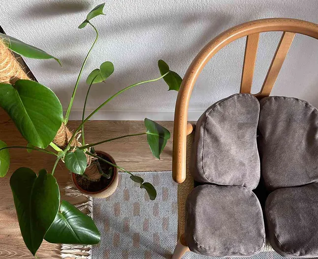 Assise Aporia - Coussin orthopédique dos