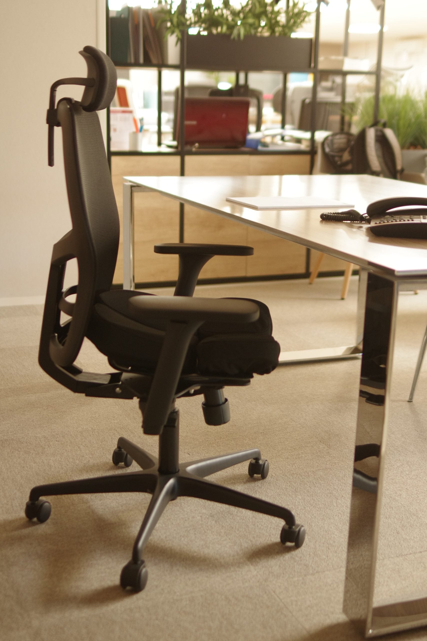 Integrated Exobase in Imago chair