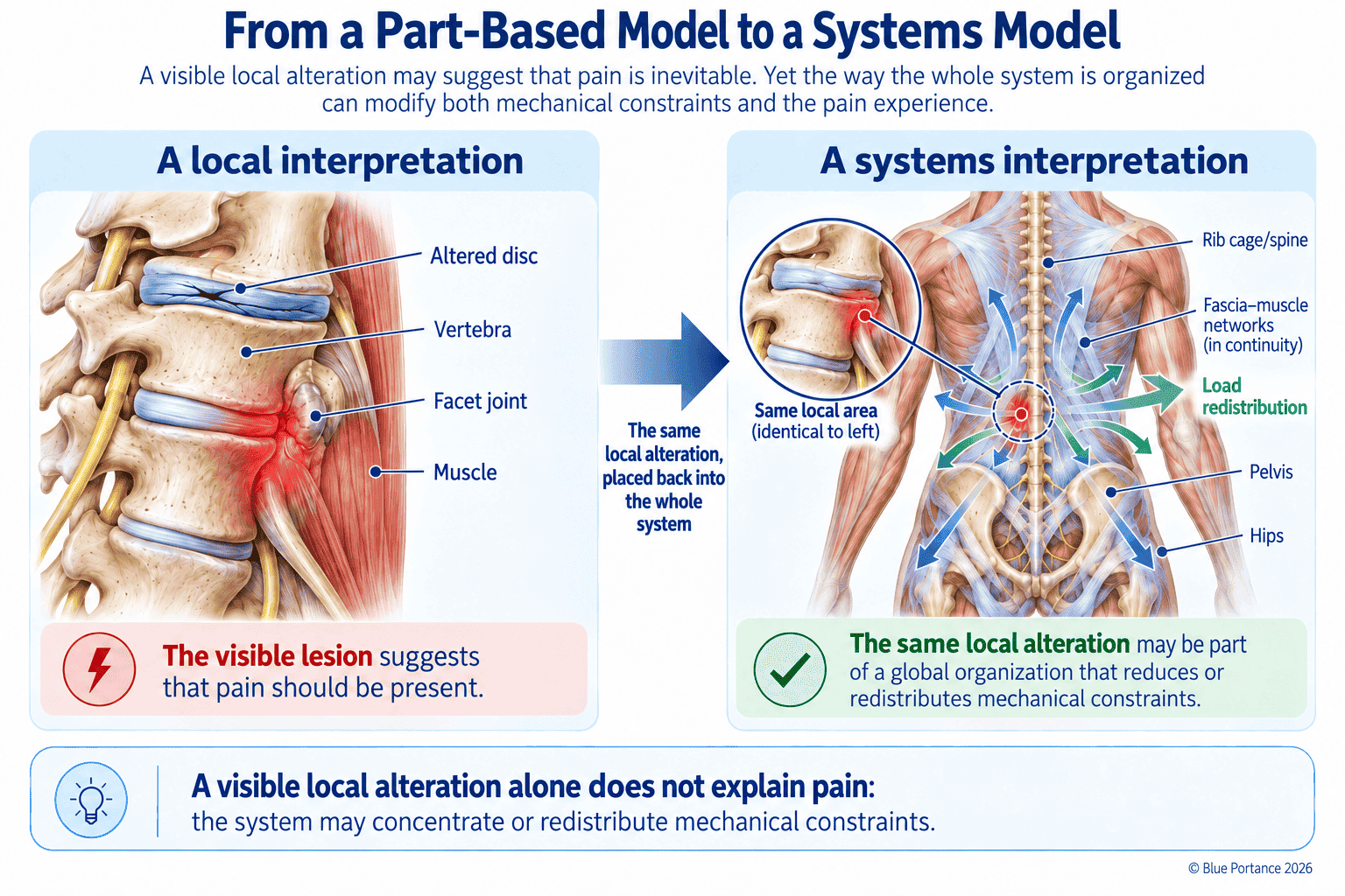 A local reading of a lumbar lesion compared with a global reading of the fascial-tissue system