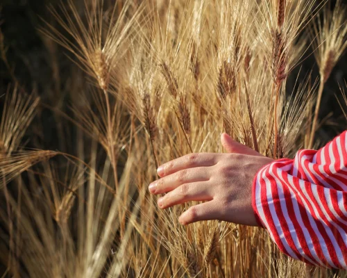 Proprioception APORIA FRANCE