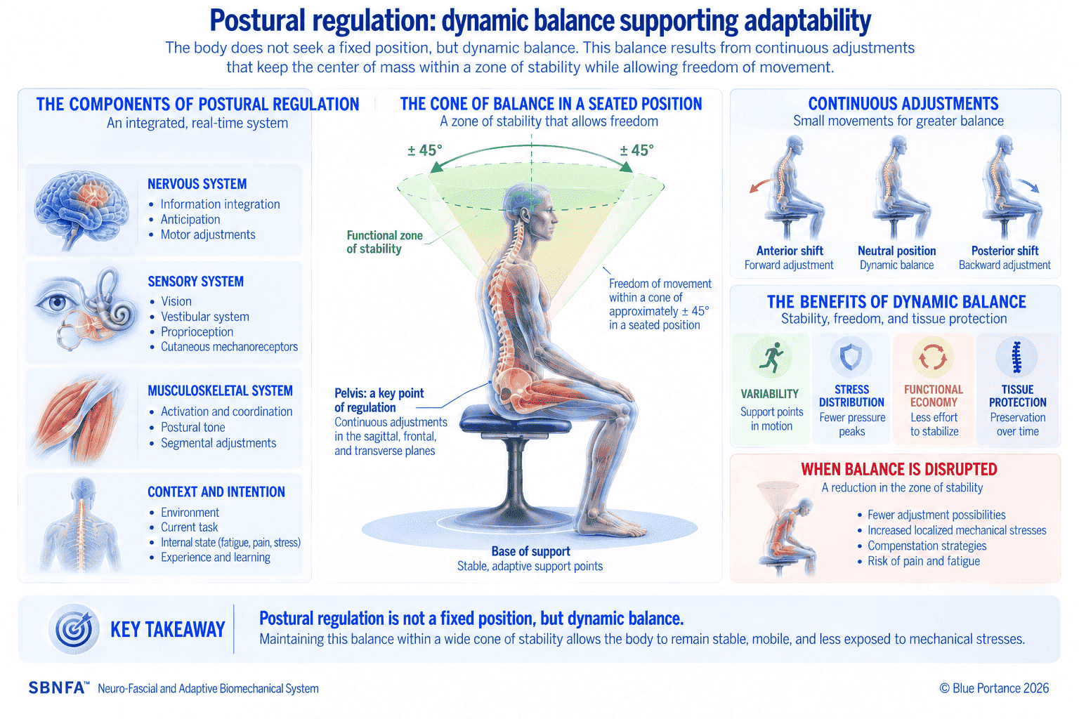 Postural regulation: a dynamic balance in the service of adaptability