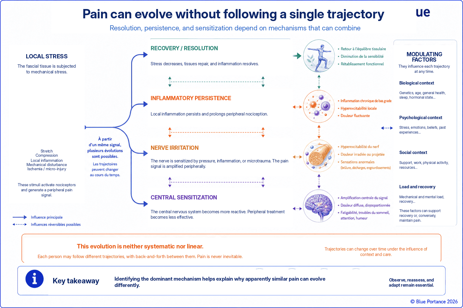 Possible courses of pain toward resolution, persistent inflammation, nerve irritation, or central sensitization