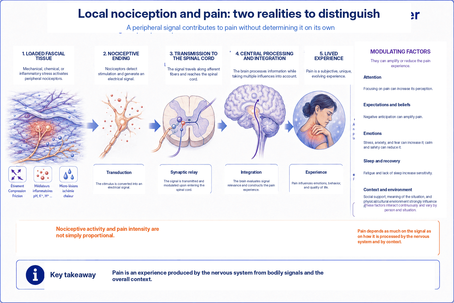 Steps linking the activation of peripheral nociceptors to the subjective experience of pain