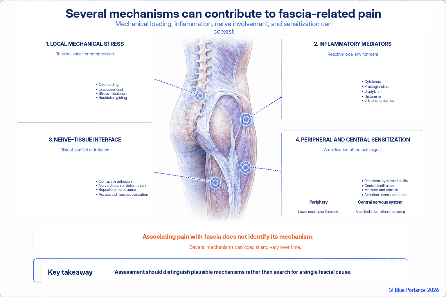 Mechanical stress, inflammation, nerve–tissue interface, and sensitization contributing to fascia-related pain