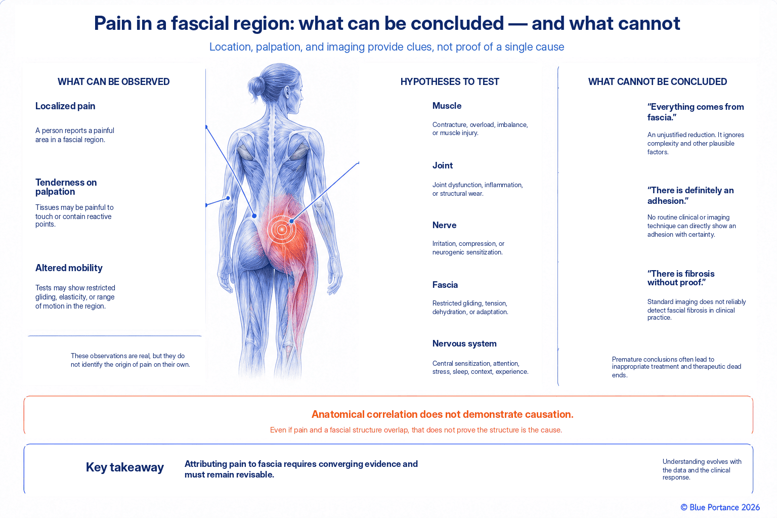 Observations, possible hypotheses, and unjustified conclusions when pain is located in a fascial region