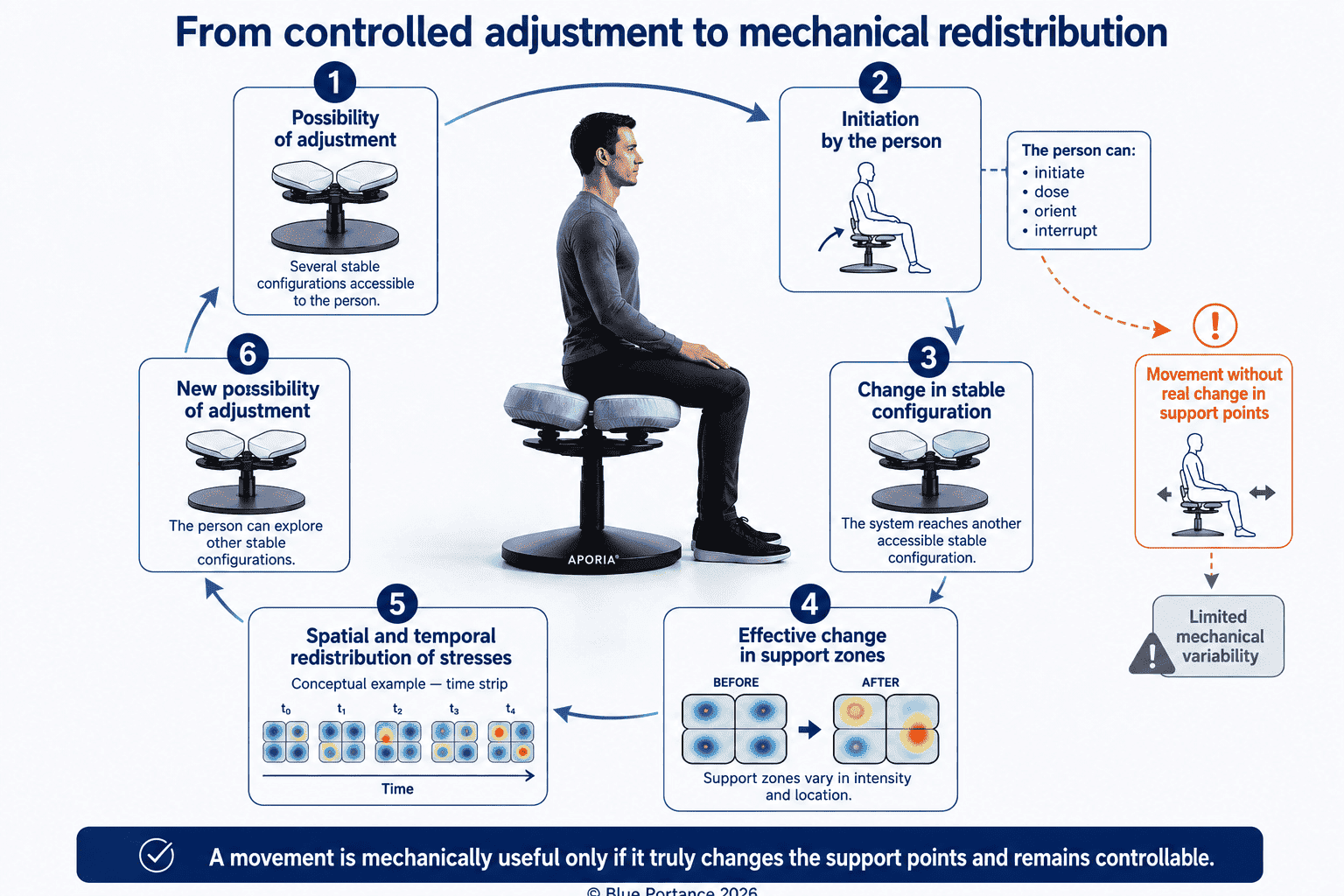 Loop linking controlled adjustment, change in configuration, and redistribution of support and mechanical stresses.