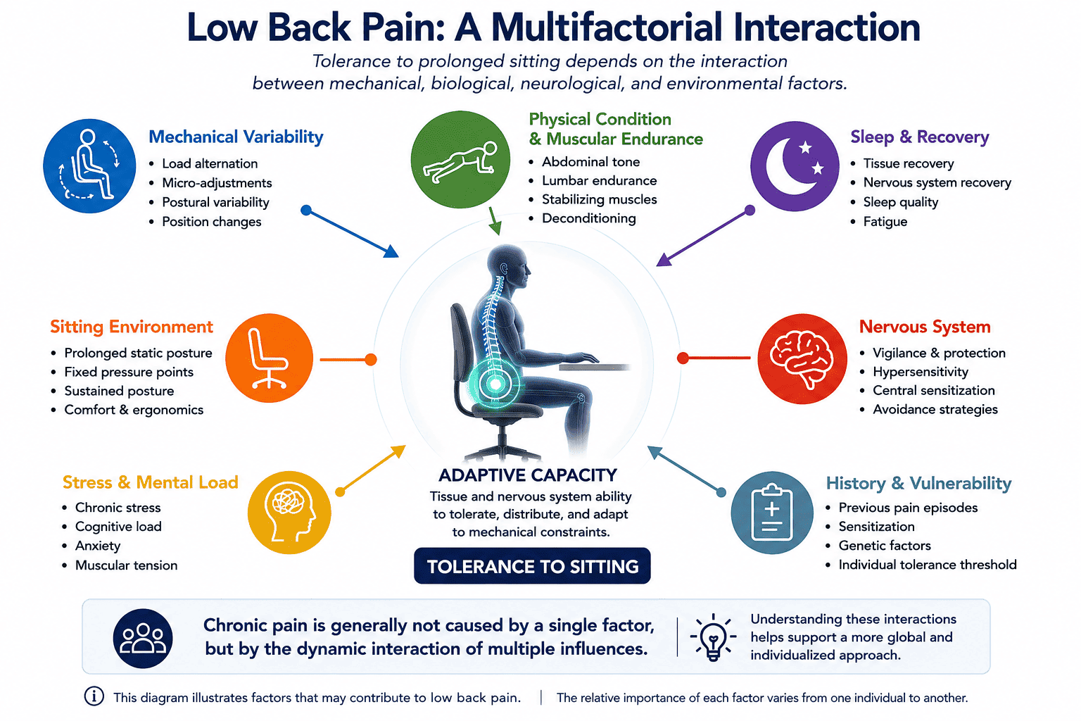 Low back pain as a multifactorial interaction between mechanical variability, nervous system sensitivity, sleep, stress, movement, and sitting environment