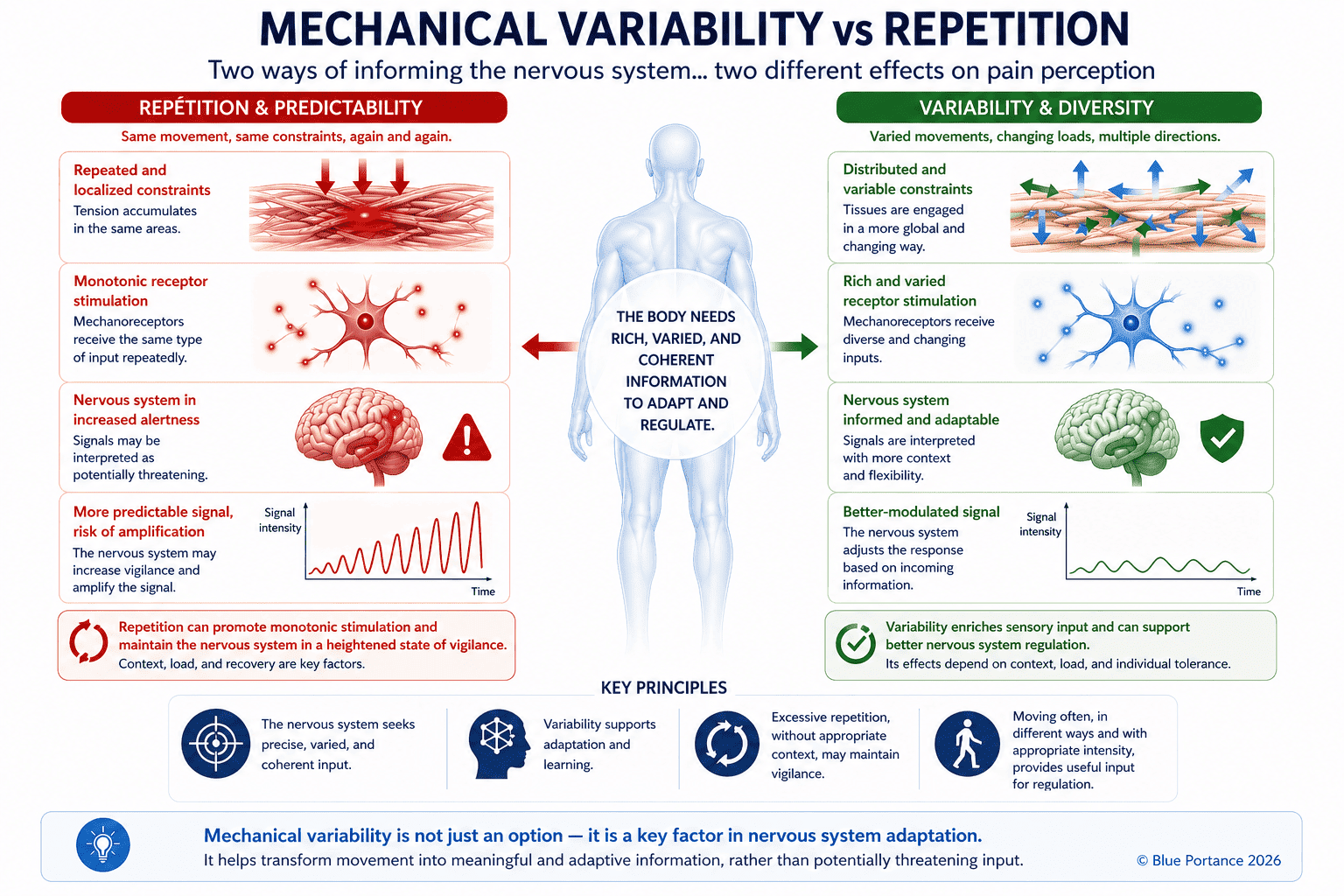 Infographic comparing mechanical repetition and movement variability and their impact on tissue constraints and the pain signal