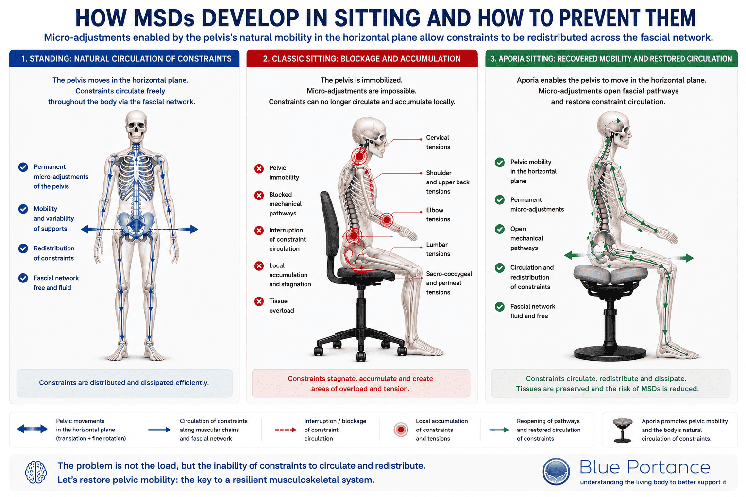 How musculoskeletal disorders develop in a seated position and how Aporia prevents them - Blue Portance