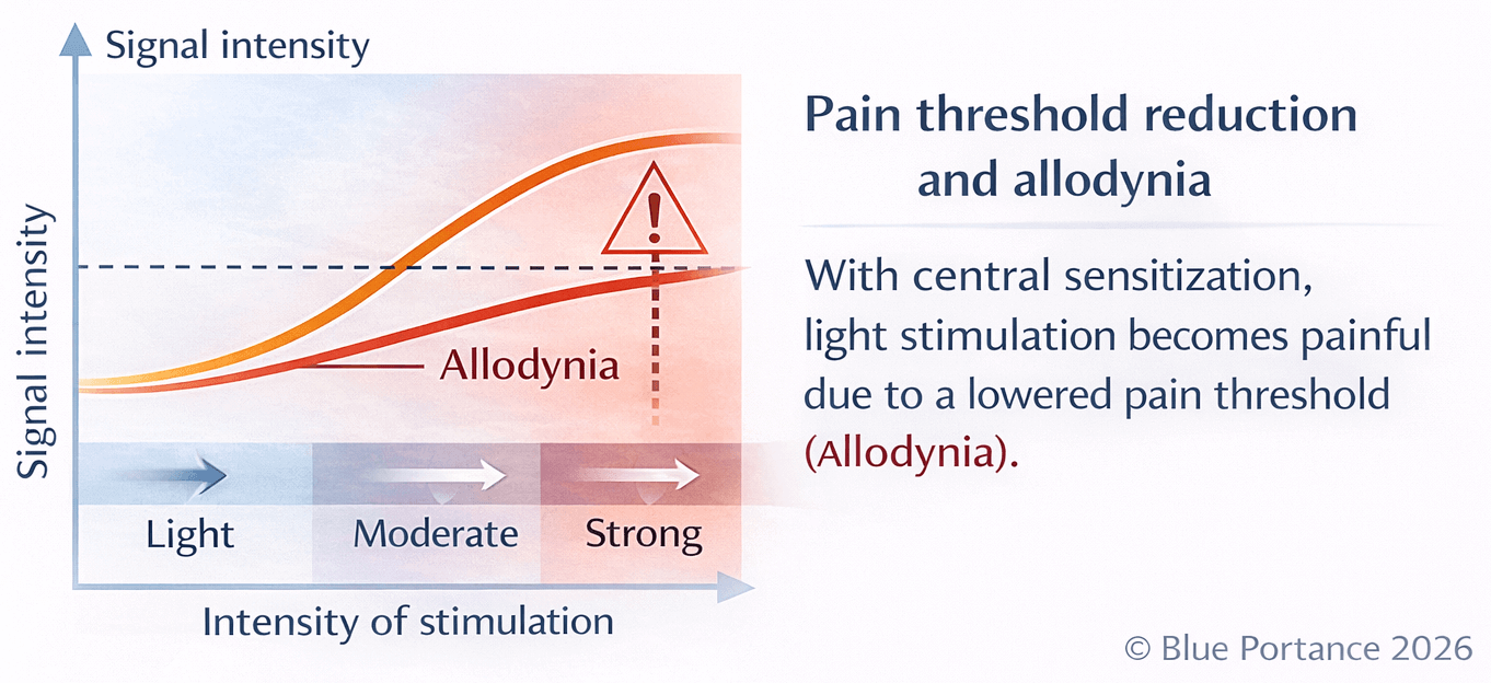 Diagram showing reduced pain threshold and allodynia in central sensitization, where light stimulation triggers a pain response
