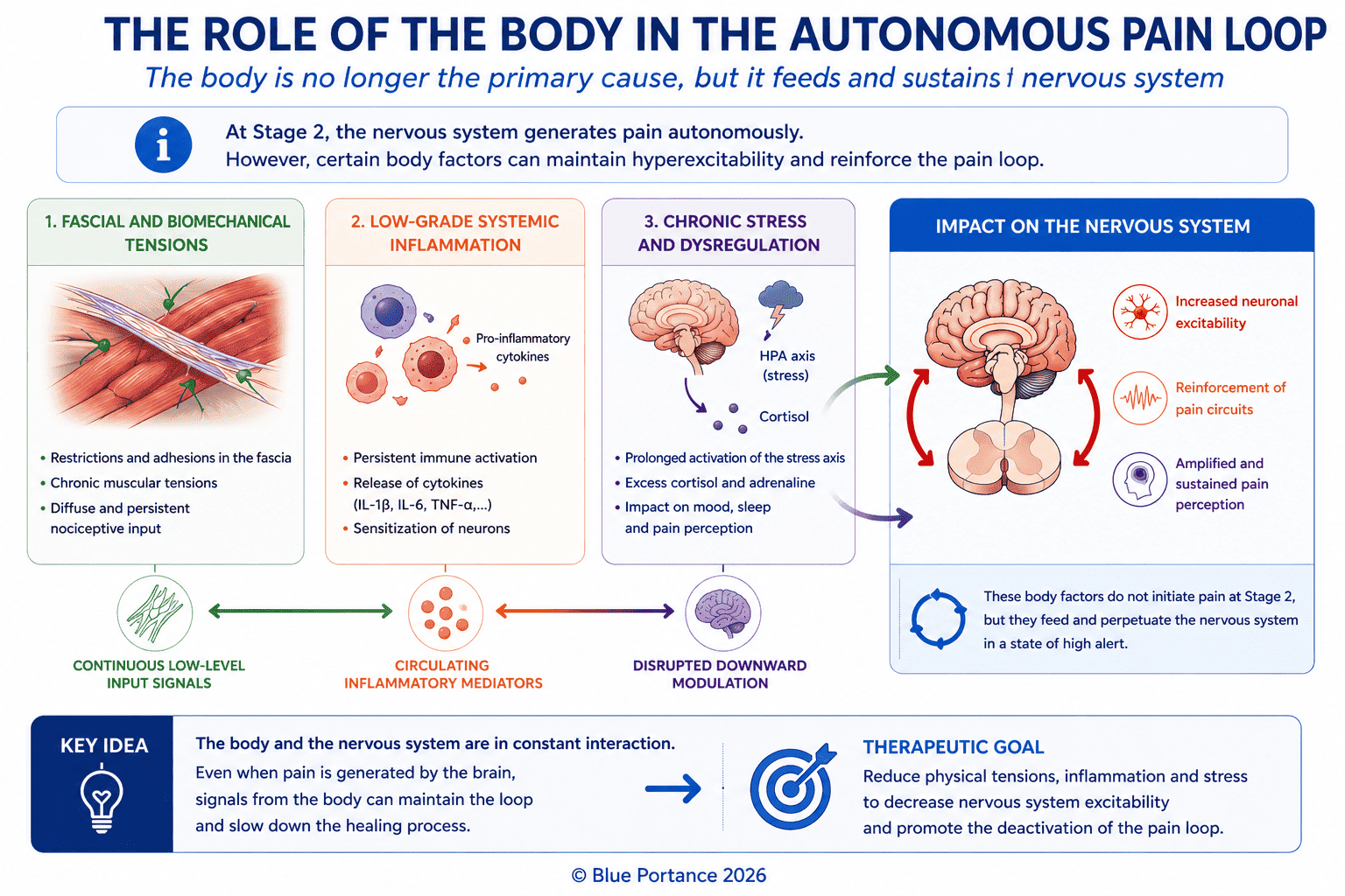 Diagram showing how fascial tensions, low-grade inflammation and chronic stress feed nervous system hyperexcitability at Stage 2 of the autonomous pain loop