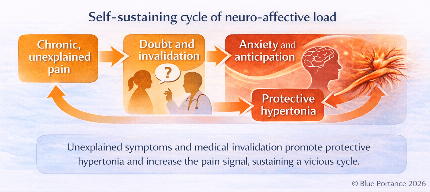 Diagram illustrating a self-sustaining cycle linking chronic pain, anxiety, invalidation, and protective hypertonia