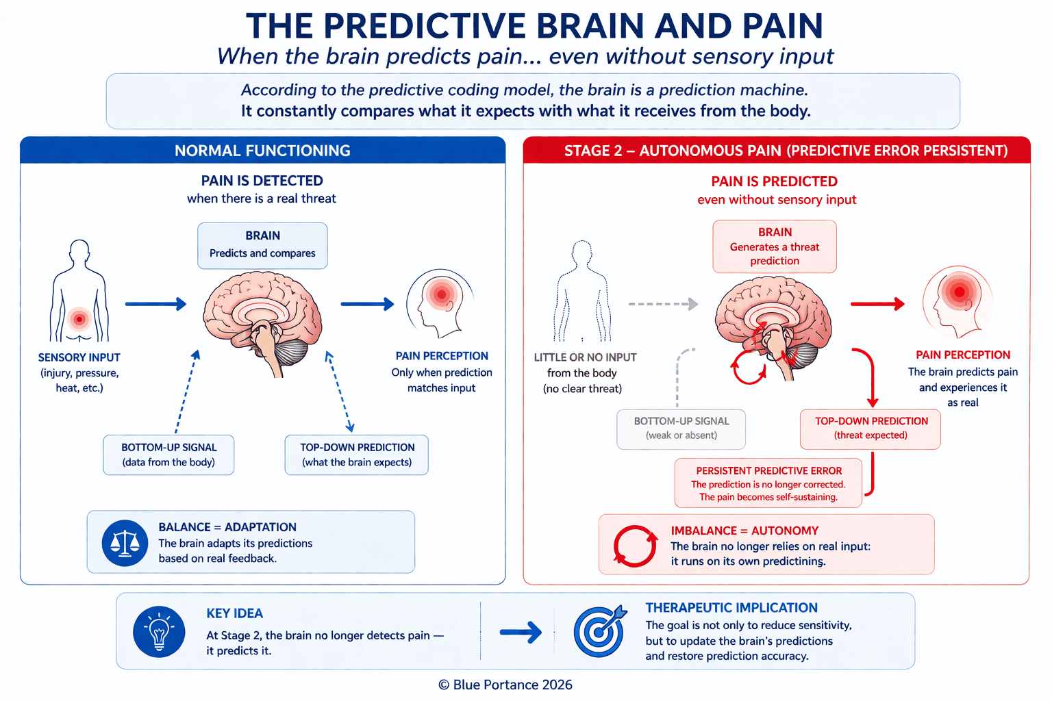 Comparison between reactive brain (normal pain signal processing) and Stage 2 predictive brain (autonomous pain generation without any real signal)