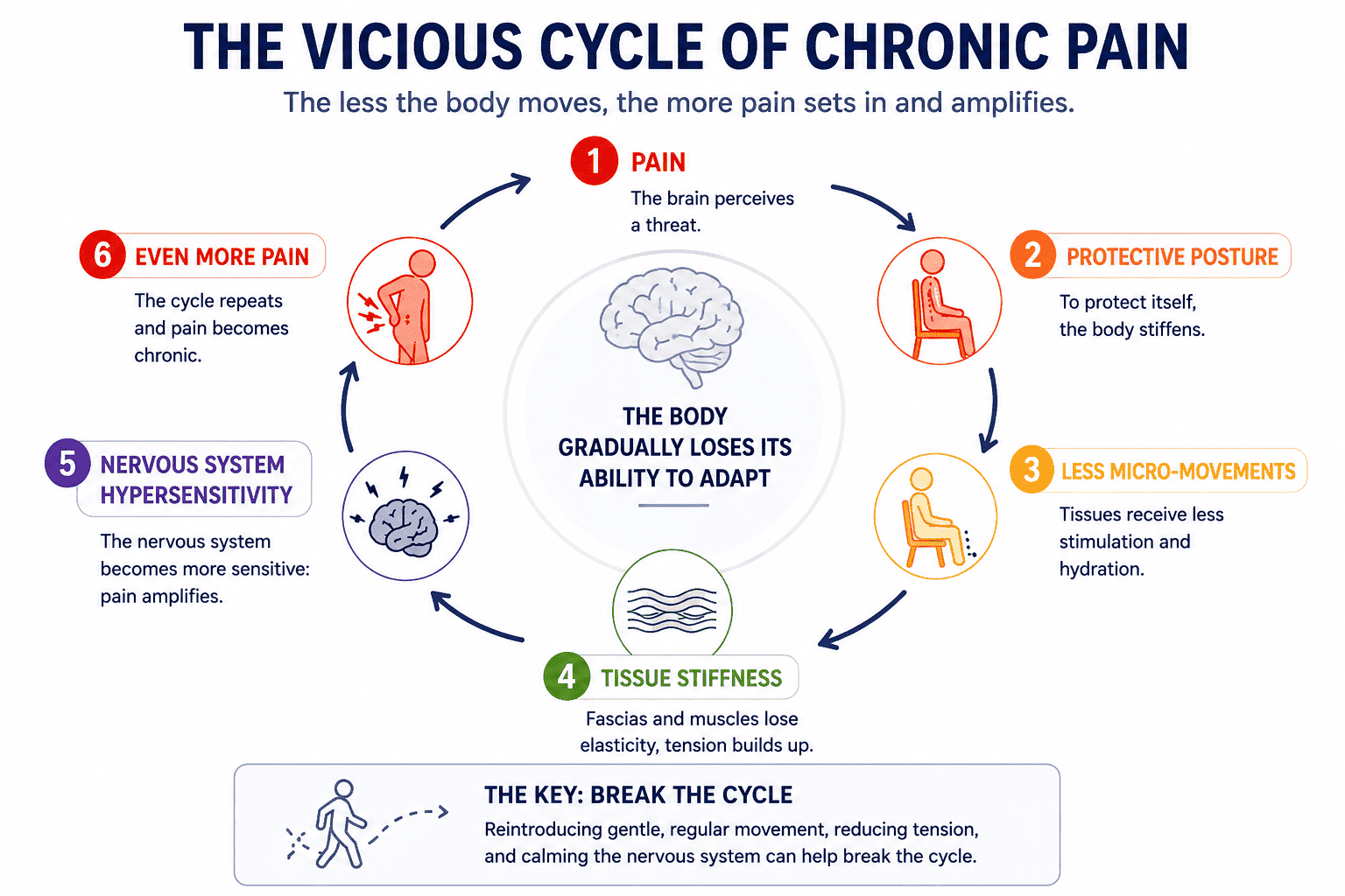 Vicious cycle of chronic pain with protective posture, reduced micro-movements and nervous system hypersensitivity
